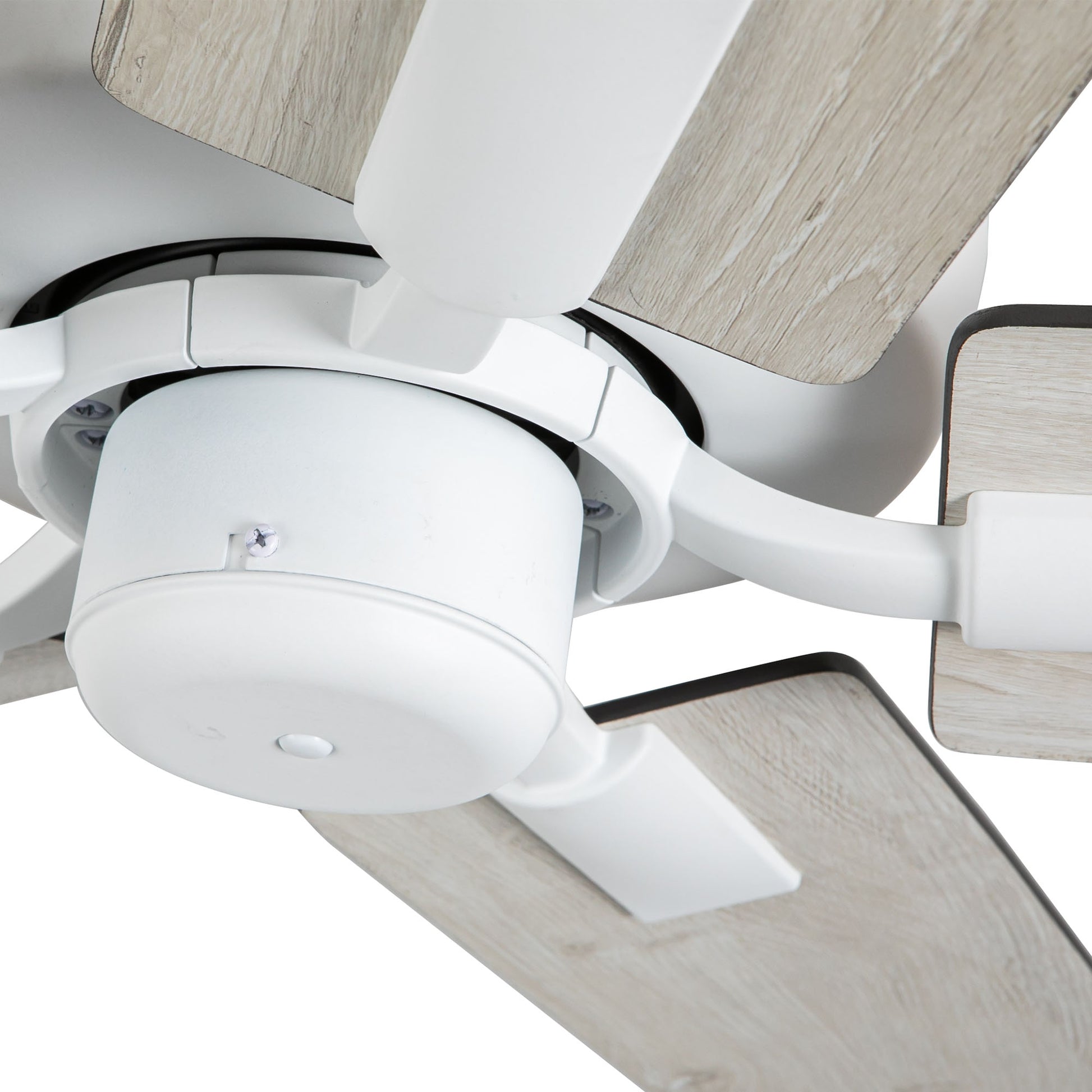 Erikson 52-in White FAN Ceiling Fan