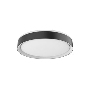 Essex Flush Mount