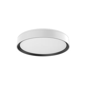 Essex Flush Mount