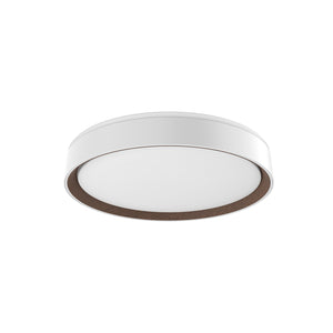 Essex Flush Mount