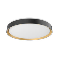 Essex Flush Mount