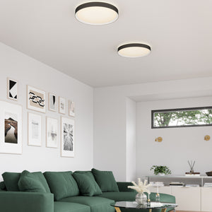Essex Flush Mount