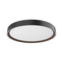Essex Flush Mount