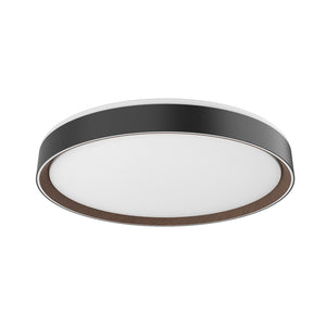 Essex Flush Mount