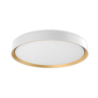 Essex Flush Mount