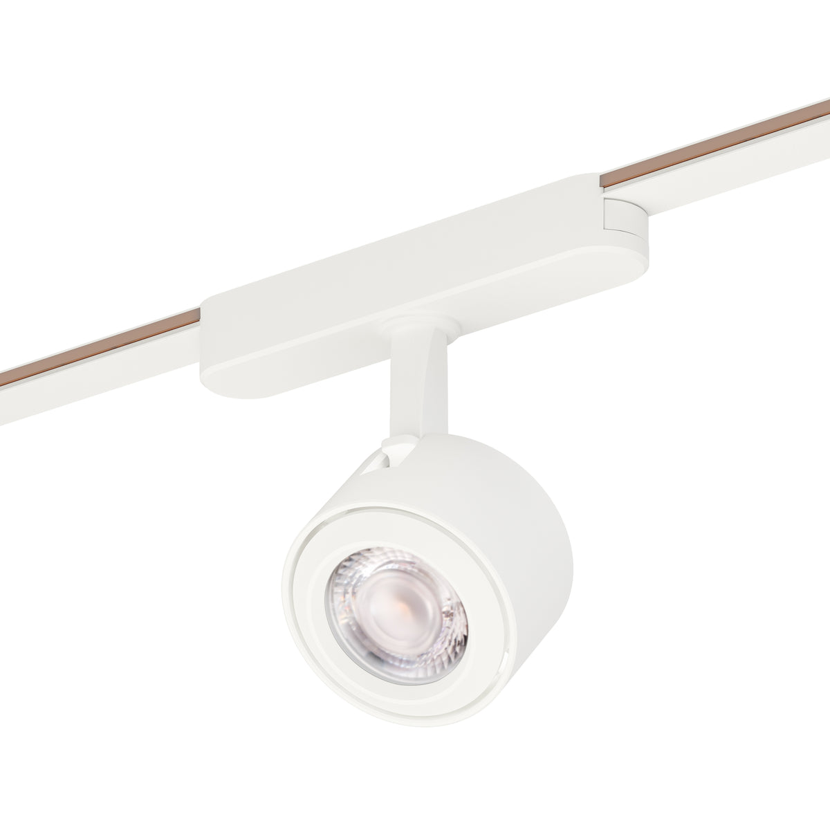 Continuum Track Spot Light - 2"
