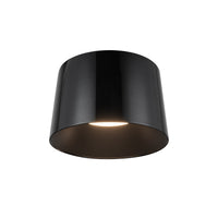 Etta Flush Mount