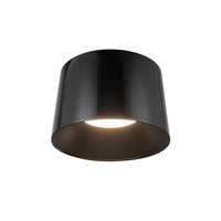 Etta Flush Mount