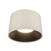 Etta Flush Mount