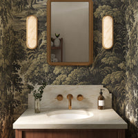 Evelyn Wall/Vanity Light