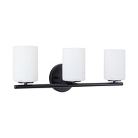Ezra Vanity Light