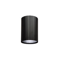 Fabiana Flush Mount
