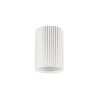 Fabiana Flush Mount