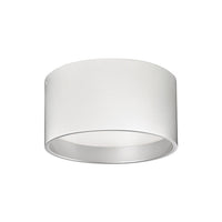 Mousinni Flush Mount