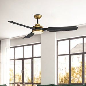 Fremont Ceiling Fan