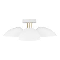 Jane Semi-Flush Mount