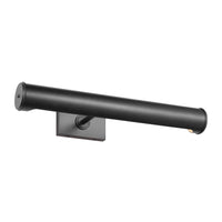 Azer 18" Picture Light