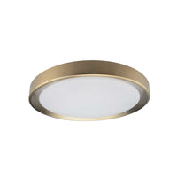 Flynn Flush Mount