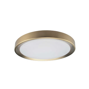 Flynn Flush Mount