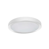 Flynn Flush Mount