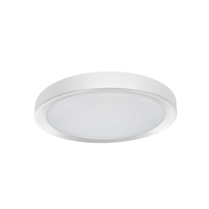Flynn Flush Mount