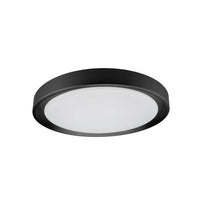 Flynn Flush Mount