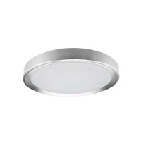Flynn Flush Mount