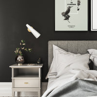 Gabriel Wall/Vanity Light