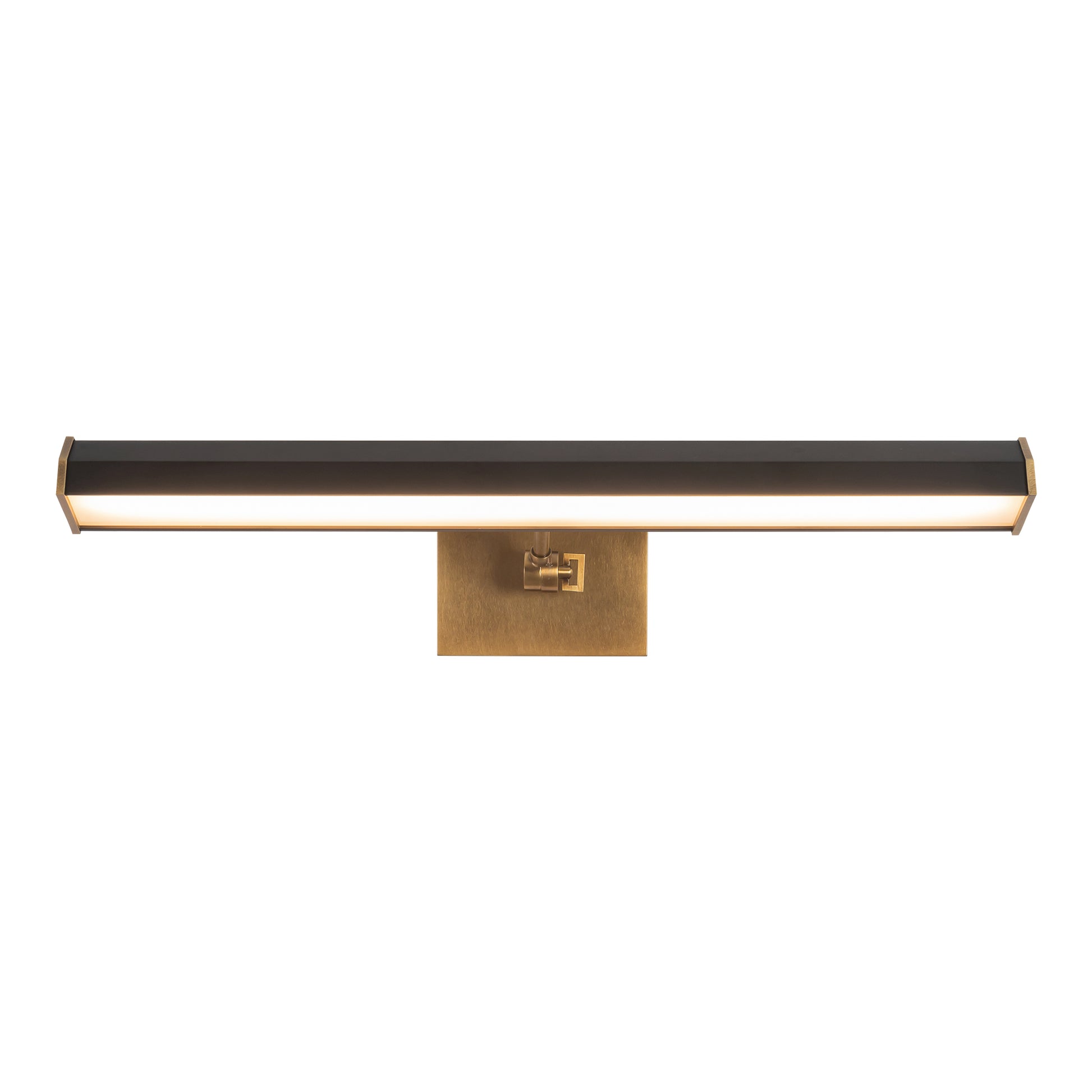 Gemma 21-in LED Wall/Picture Light
