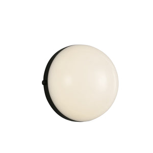Globo Wall/Vanity Light