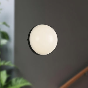 Globo Wall/Vanity Light