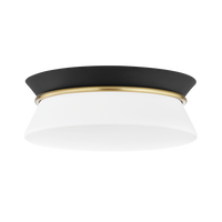 Cath Flush Mount