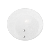 Giselle Wall Sconce