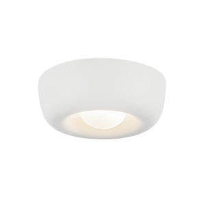 Hayden Flush Mount