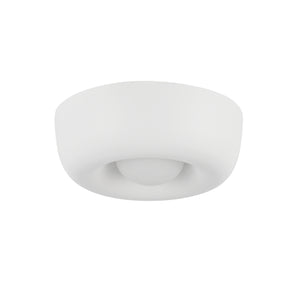 Hayden 6-in Flush Mount