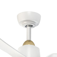 Hugo Ceiling Fan