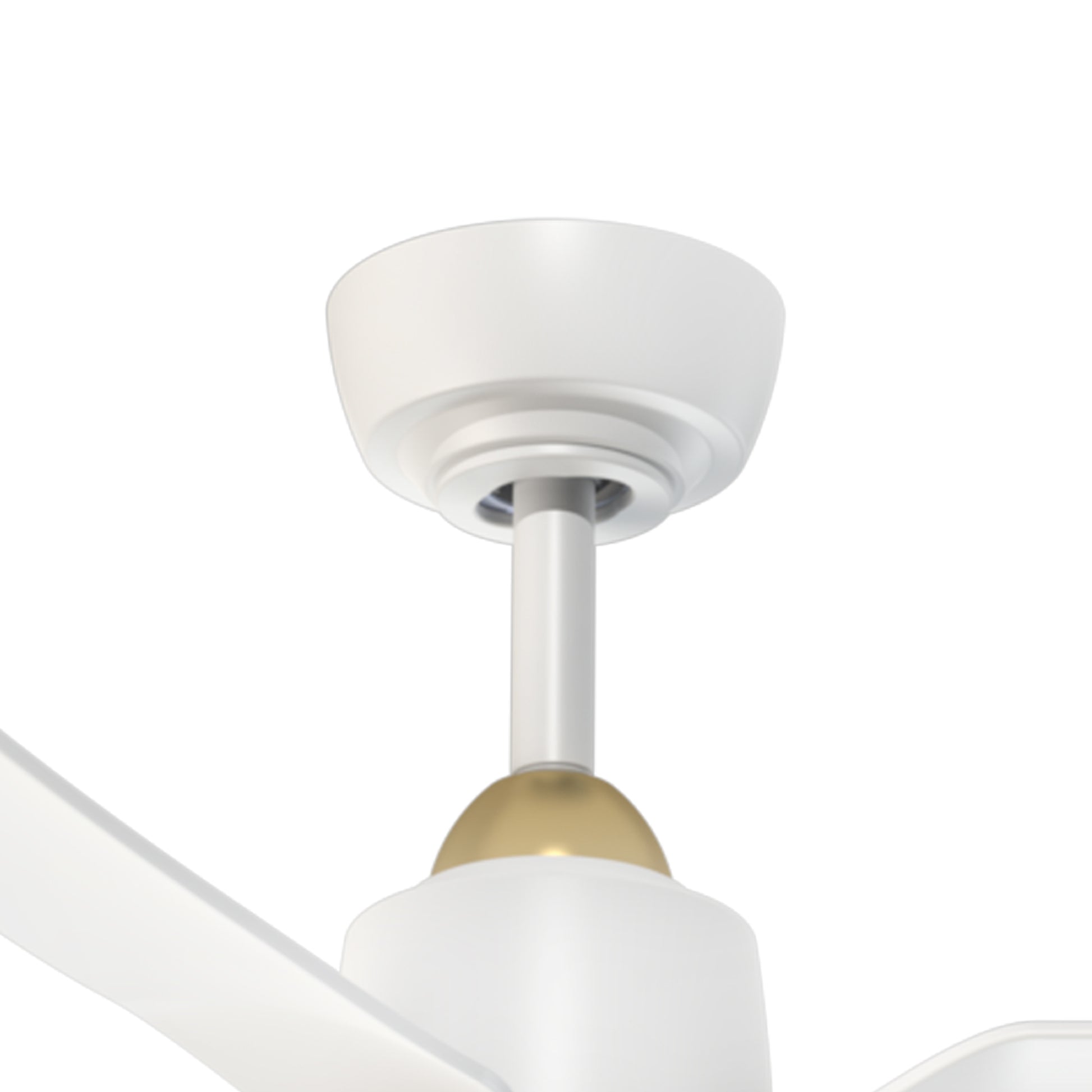 Hugo Ceiling Fan