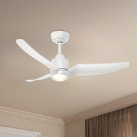 Hugo Ceiling Fan