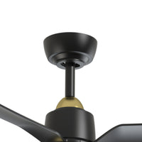 Hugo Ceiling Fan