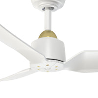 Hugo Ceiling Fan