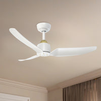 Hugo Ceiling Fan