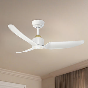 Hugo Ceiling Fan