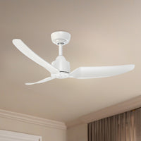 Hugo Ceiling Fan