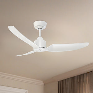 Hugo Ceiling Fan