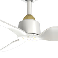 Hugo Ceiling Fan