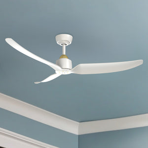 Hugo Ceiling Fan