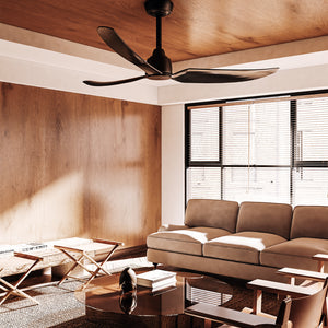 Hugo Ceiling Fan