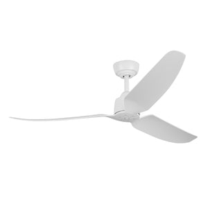 Hugo Ceiling Fan