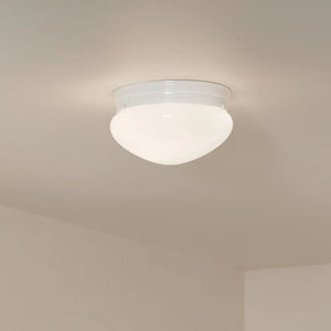 Flush Mount 1Lt