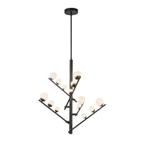 Cypress Chandelier